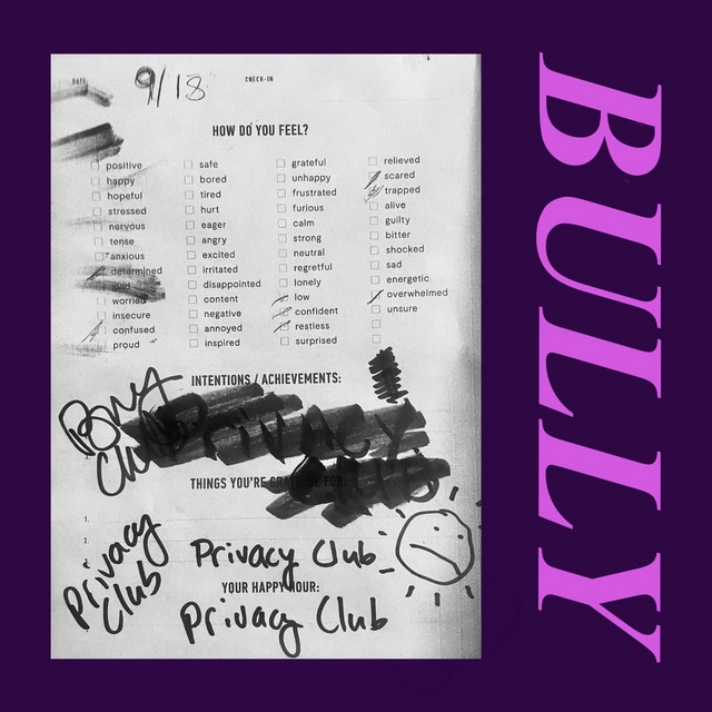 PrivacyClub – Bully