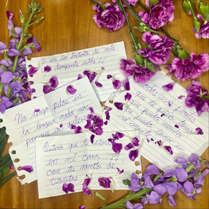 Miss Arpía – Ramito de Violetas (Miss Arpía&nbsp;&nbsp;Cover)