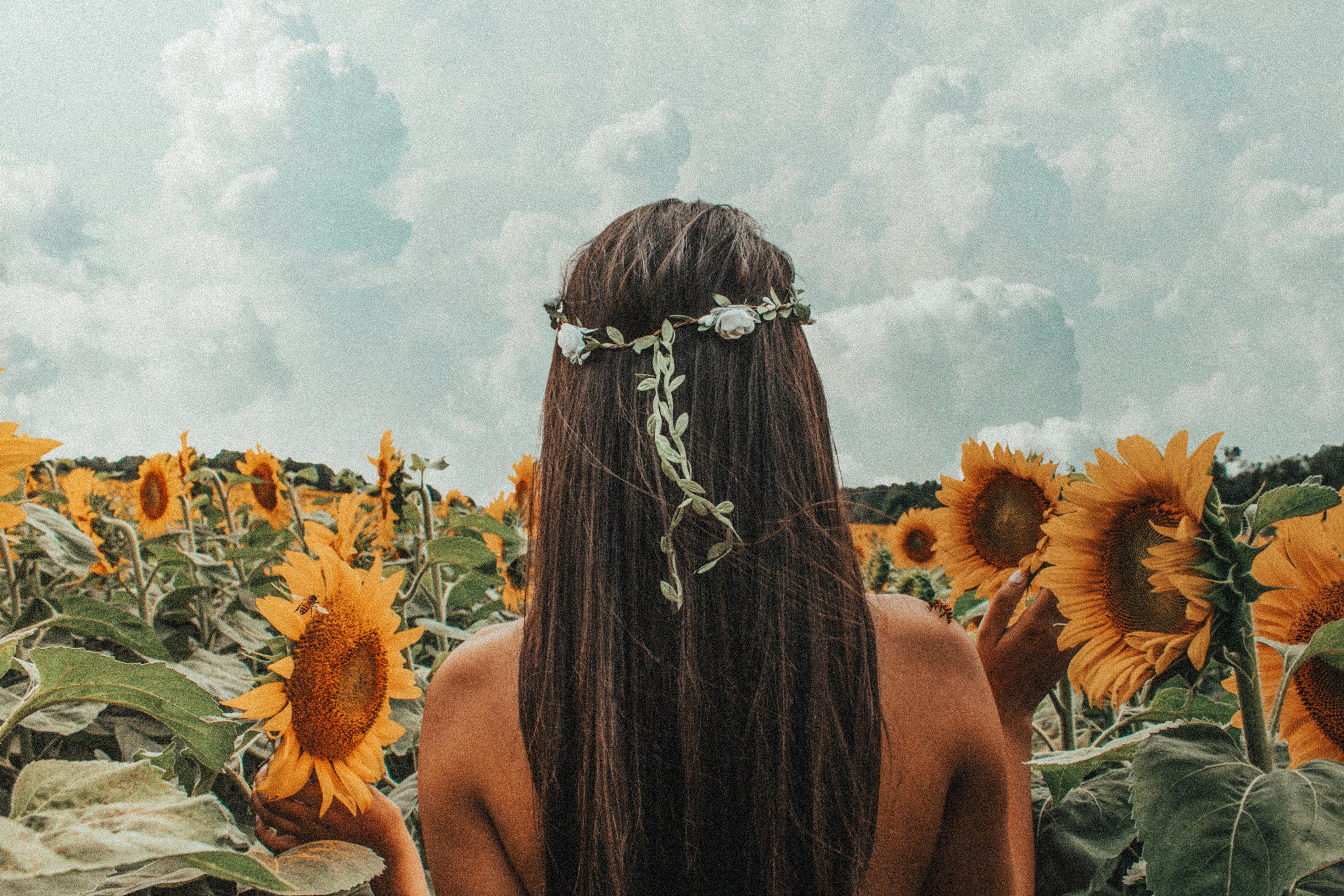 CARNIVAL MIND – Rainbird