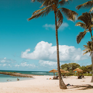 Peter Kruse – Starving&nbsp;Artist