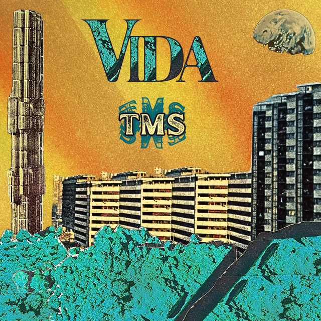 VIDA – TMS