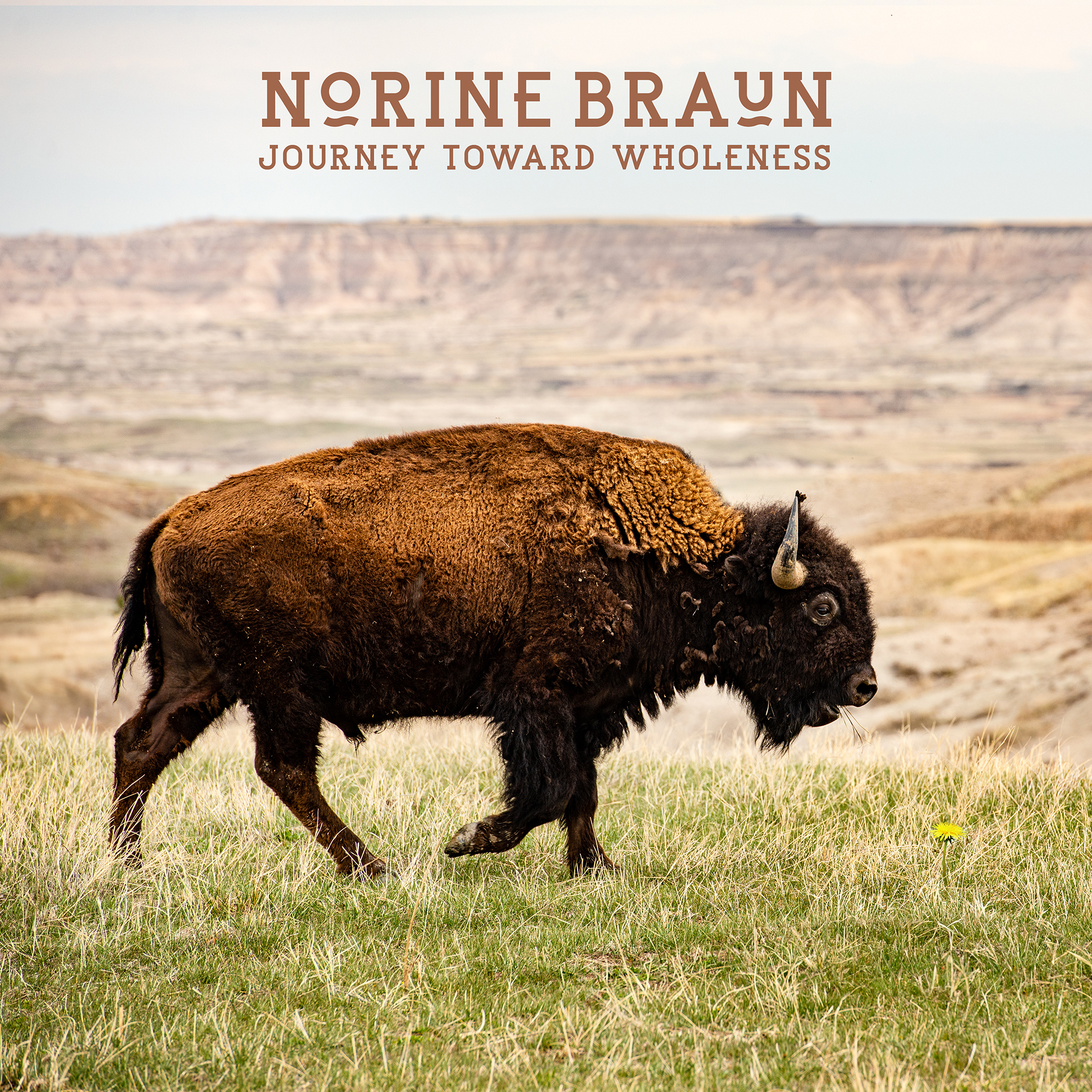 NORINE BRAUN – Journey Toward Wholeness