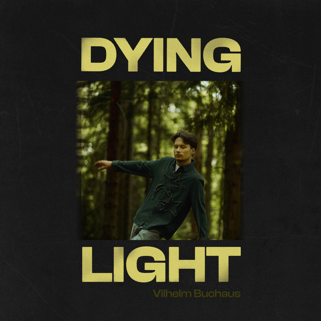 Vilhelm Buchaus – Dying&nbsp;Light