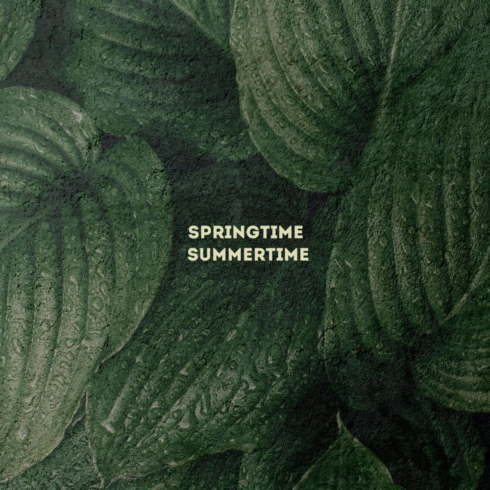 JAWSON DELL – Springtime Summertime