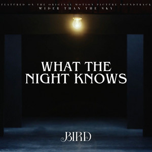 BIRD AKA JANIE PRICE – What The Night&nbsp;Knows