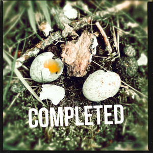 Gustaf Westin –&nbsp;Completed