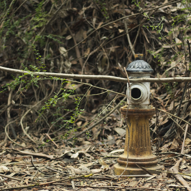 Sr. Maletas – UN VIAJE&nbsp;CONSCIENTE