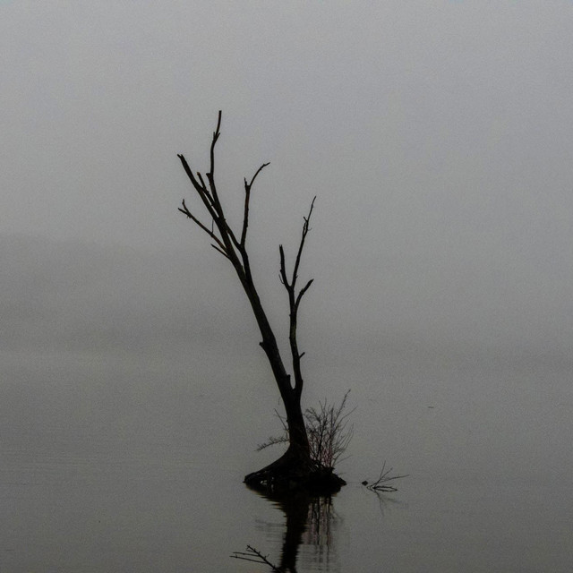 A fleeting solace –&nbsp;Metacom