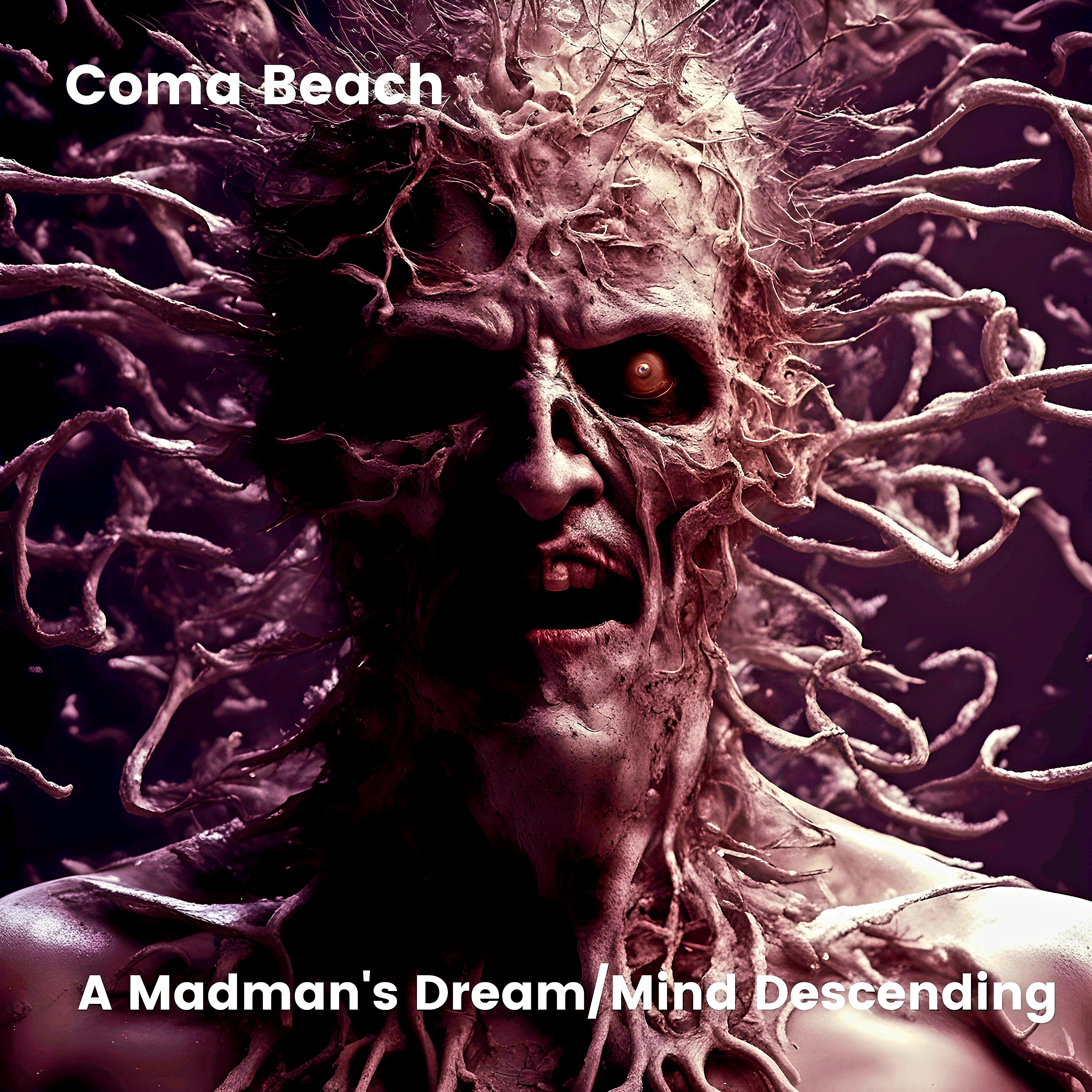 Coma Beach – A Madman’s Dream/Mind Descending