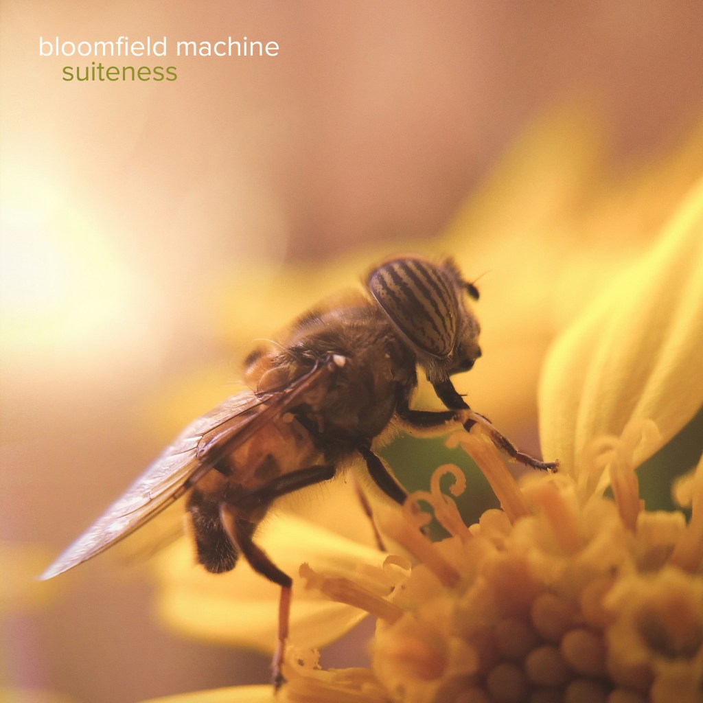 Bloomfield Machine –&nbsp;Suiteness