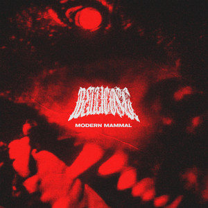 BELLICOSE NY – Bound To The Bone, by Bellicose&nbsp;NY