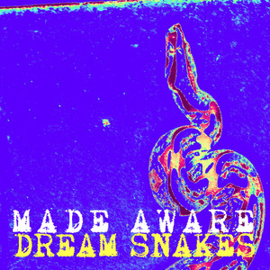 Made Aware – Dream&nbsp;Snakes