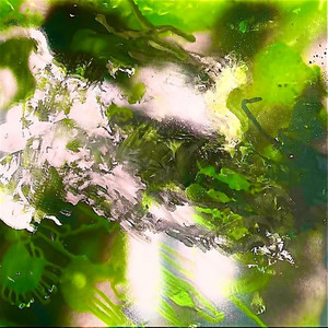 The Somá Conspiracy – Violet Andromeda