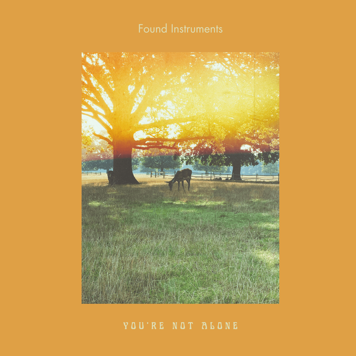 Found Instruments – You’re Not Alone – End Sessions