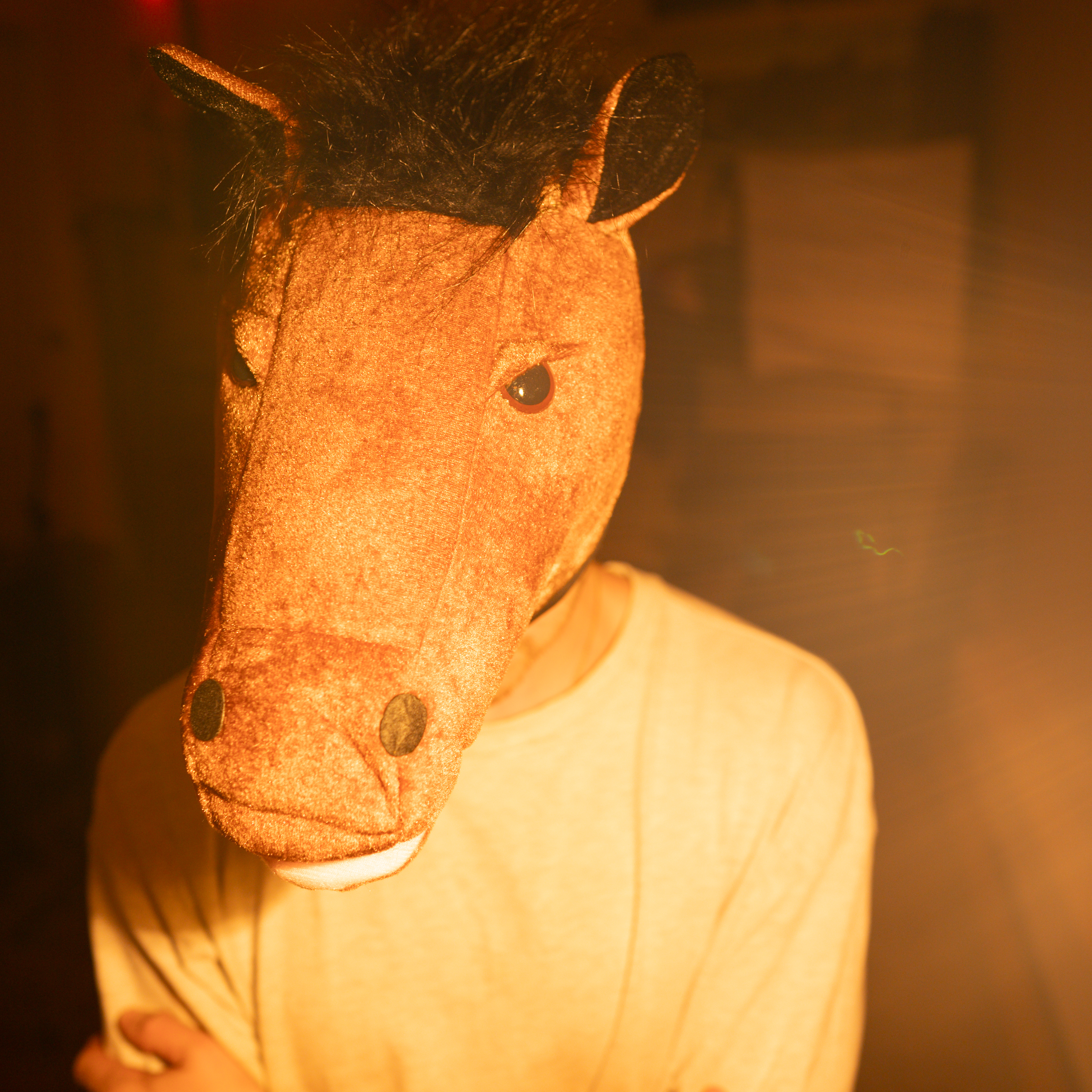 horsebread – cant