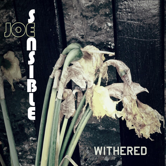 Joe Sensible – Withered