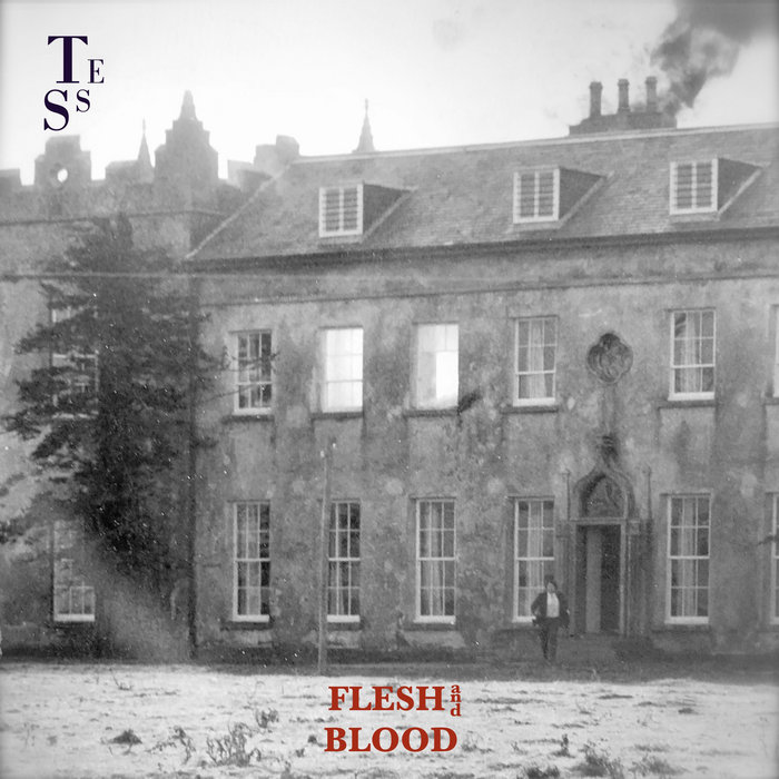 Tess Callaghan – Flesh And&nbsp;Blood