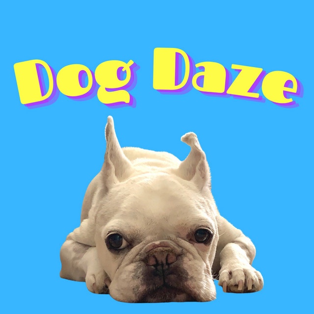 SORRY IT’S OVER – Dog Daze