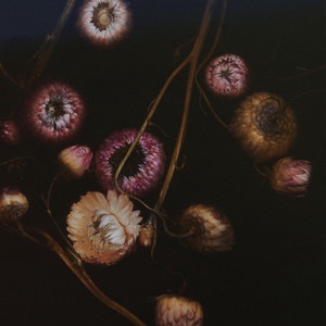 Loopole – Passport 🤘