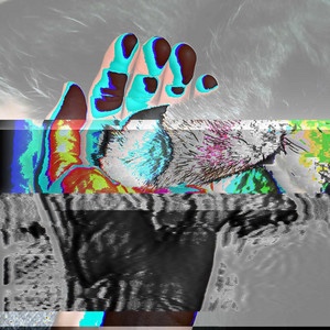 Shakyflakes – Paws