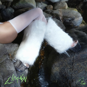 Loyal Lobos –&nbsp;Limón