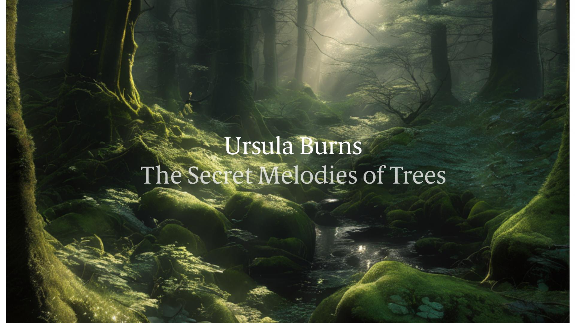 Ursula Burns – The Secret Melodies of Trees
