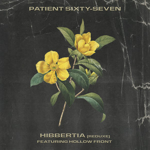 Patient Sixty-Seven – Hibbertia (Reduxe) feat. Hollow&nbsp;Front
