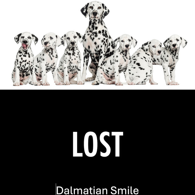 Dalmatian Smile –&nbsp;Lost