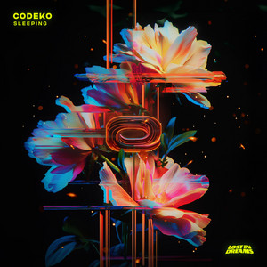 Codeko – Sleeping