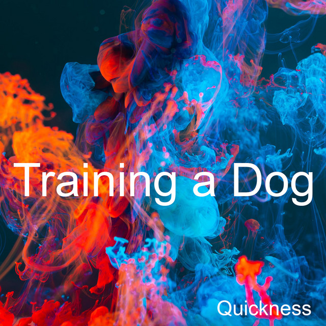 Quickness – Training a Dog
