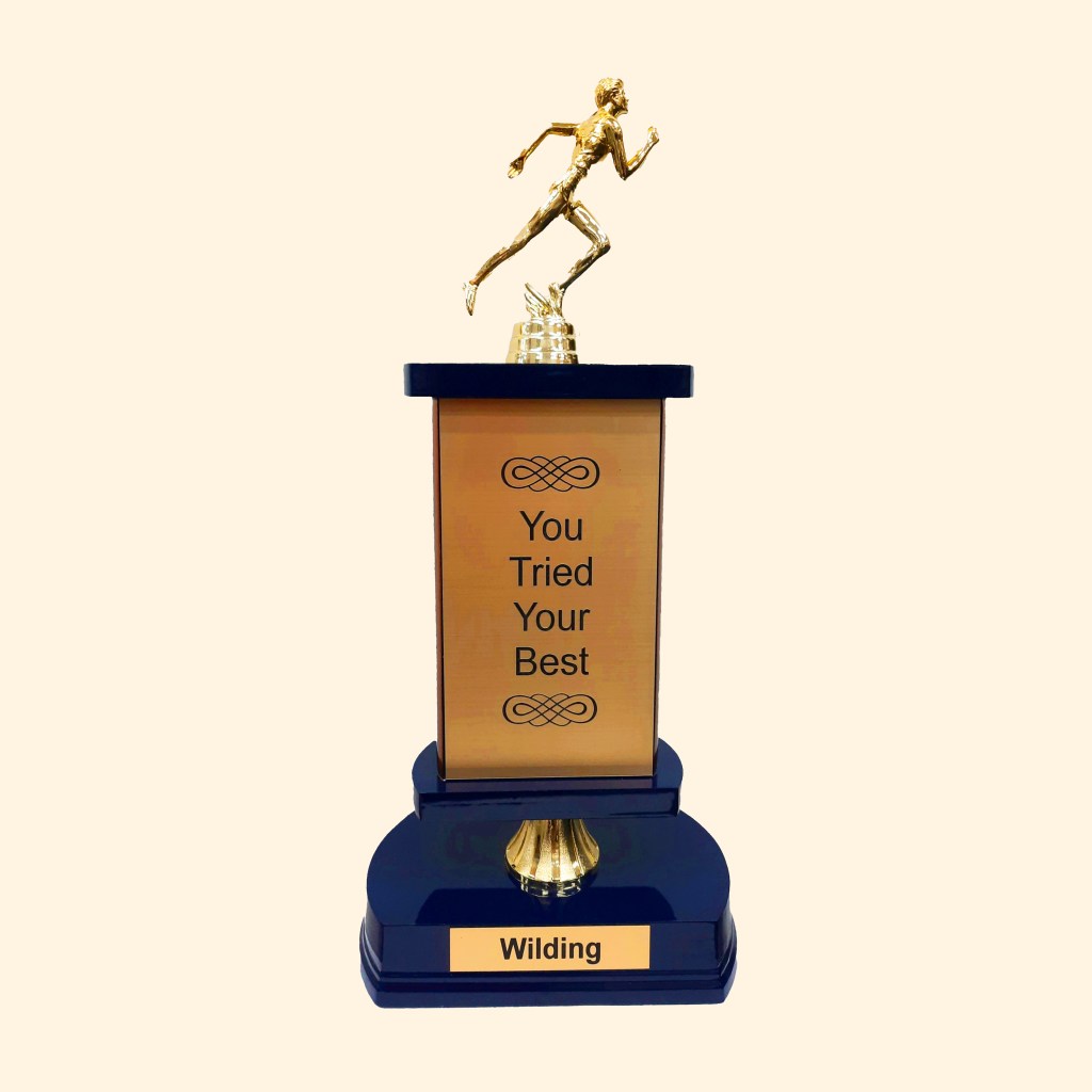 Wilding – You Tried Your&nbsp;Best