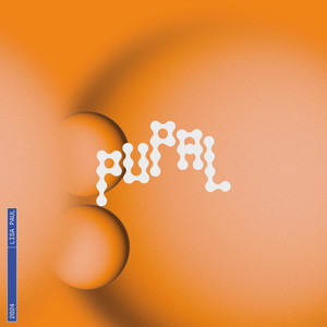 Lisa Paul –&nbsp;Wicked