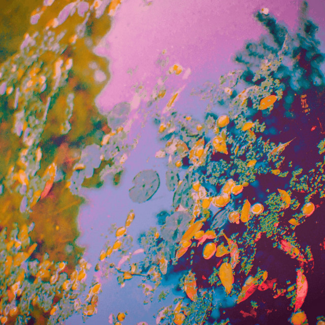 We Are Imaginary – Pinkish&nbsp;Hue