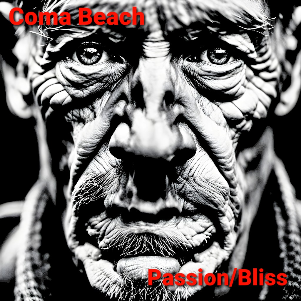 Coma Beach –&nbsp;Passion/Bliss