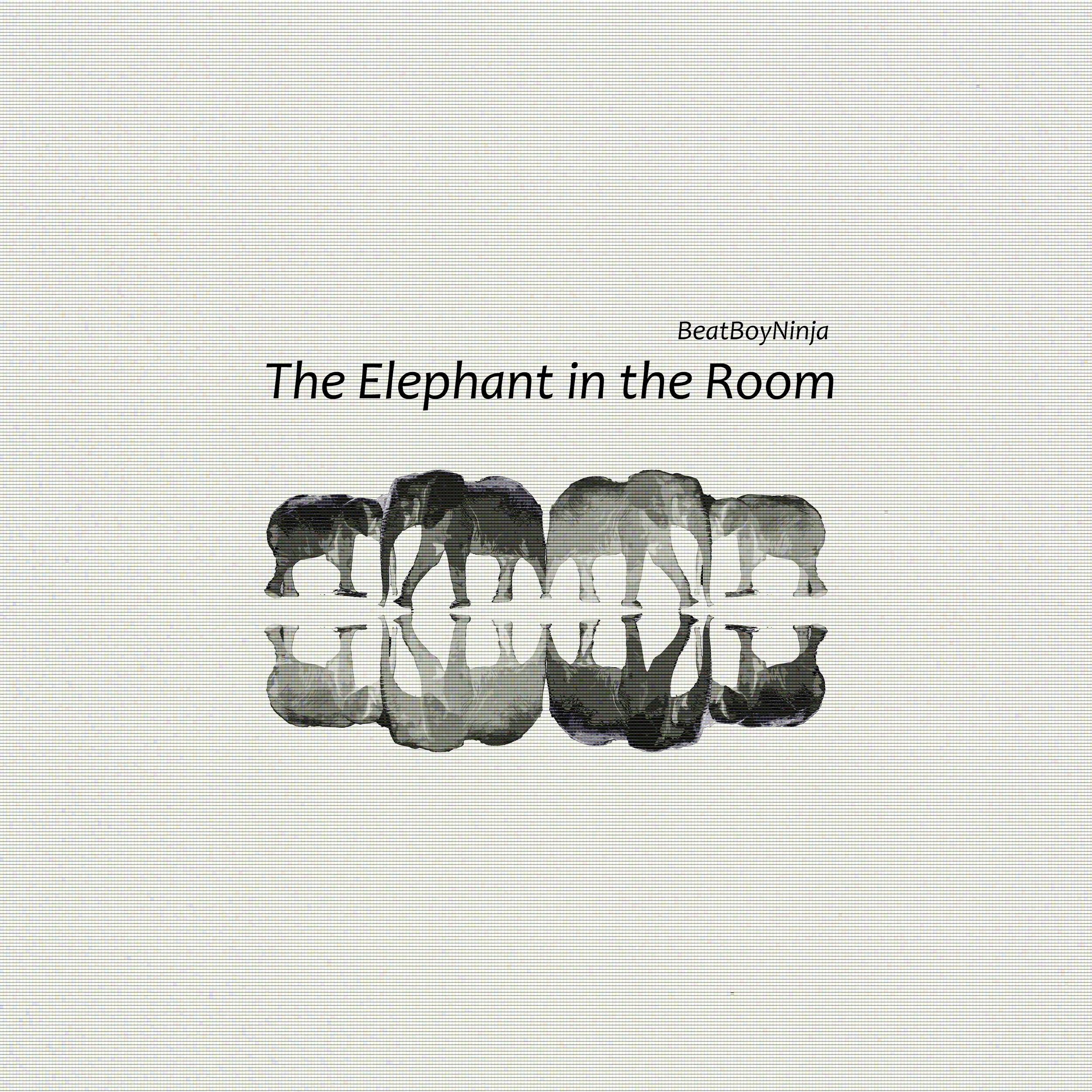 BeatBoyNinja – The Elephant in the Room