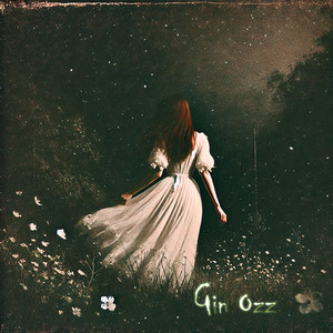 Gin Ozz – Starlit&nbsp;Reverie