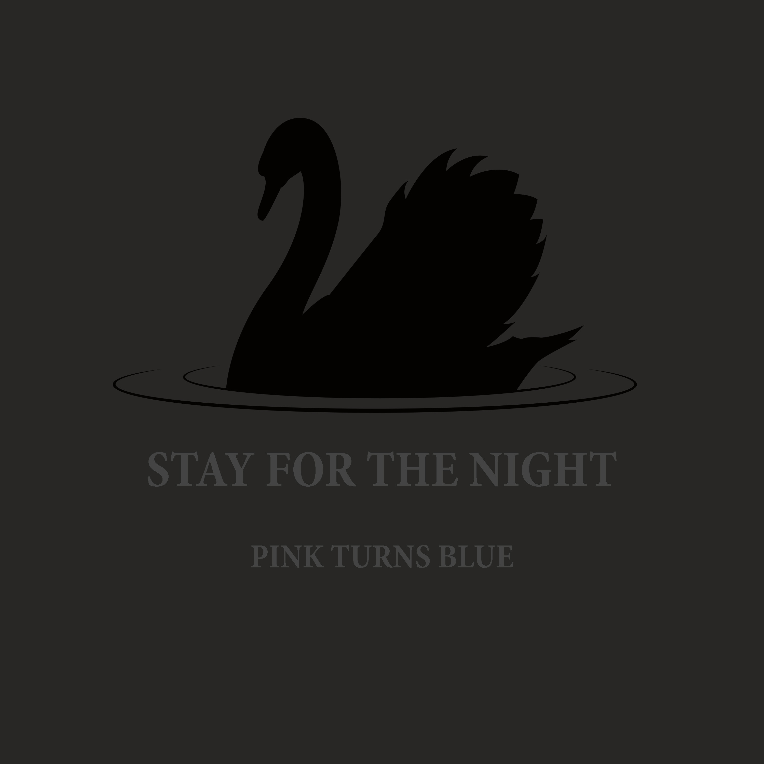 Pink Turns Blue – Stay for the Night