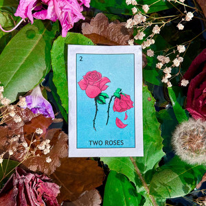 Pinto Sunshine – Two&nbsp;Roses