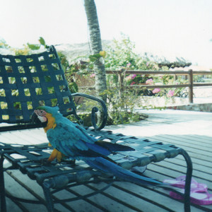 Samuel Acosta – Isla Margarita