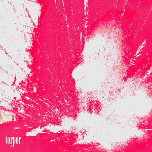 Demora – torpor
