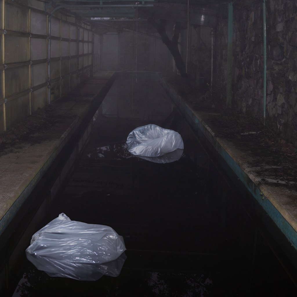 Infinite Error – Plagued By&nbsp;Meaning