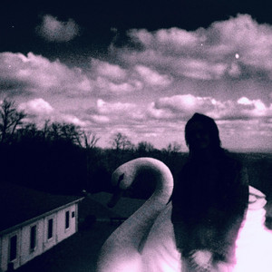 KIT – Blood on the&nbsp;Numbers