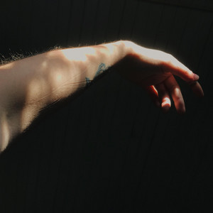 linnaeus – Hallway