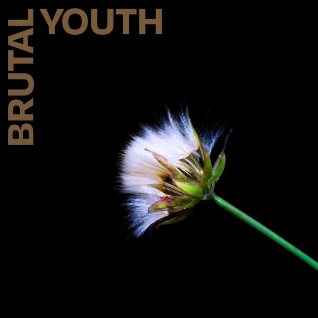 Music By Idiots – Brutal Youth