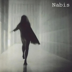 Nabis – Busqueda