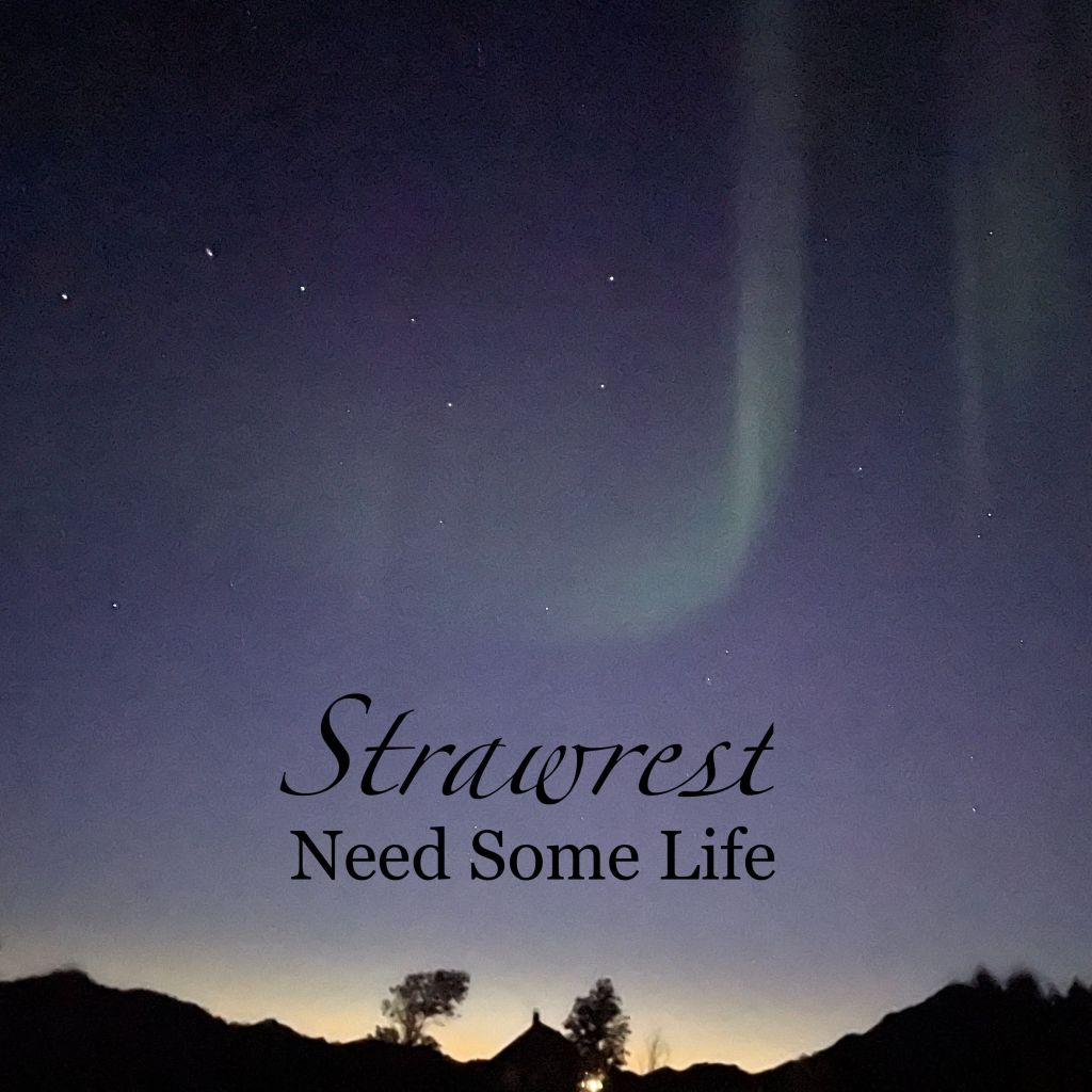Strawrest – Need Some Life