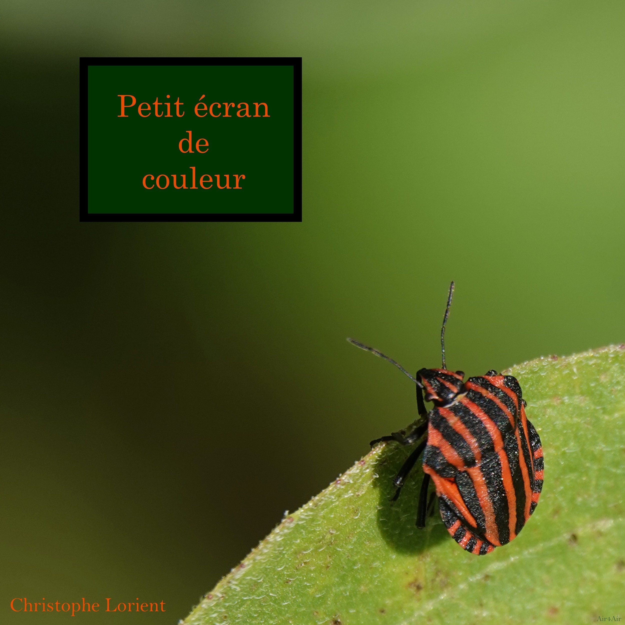 Christophe Lorient – Petit écran de couleur