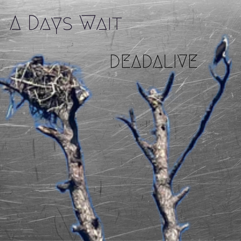 A Days Wait –&nbsp;deadAlive