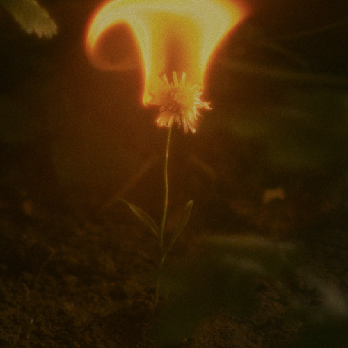 JOA – Previous&nbsp;Problems