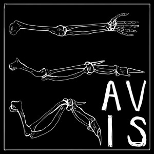 Avis – City&nbsp;Suicide